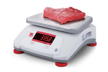 Поверка весов технических V22PWE6T